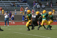 5566 VPYF 5-6 v Orting