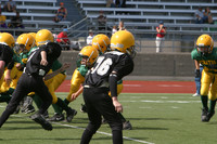 5573 VPYF 5-6 v Orting