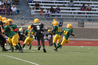 5601 VPYF 5-6 v Orting