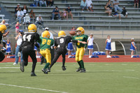 5611 VPYF 5-6 v Orting