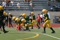 5627 VPYF 5-6 v Orting
