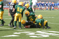 5655 VPYF 5-6 v Orting