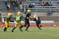 5665 VPYF 5-6 v Orting