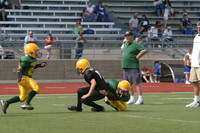 5666 VPYF 5-6 v Orting