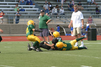 5667 VPYF 5-6 v Orting