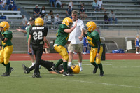 5670 VPYF 5-6 v Orting