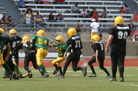 5673 VPYF 5-6 v Orting