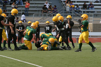 5676 VPYF 5-6 v Orting