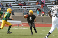 5684 VPYF 5-6 v Orting