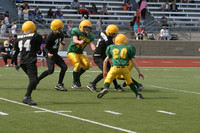 5686 VPYF 5-6 v Orting