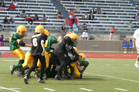 5689 VPYF 5-6 v Orting