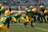 5696 VPYF 5-6 v Orting