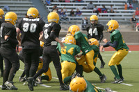 5699 VPYF 5-6 v Orting