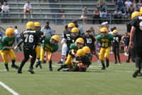 5713 VPYF 5-6 v Orting