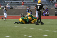 5723 VPYF 5-6 v Orting