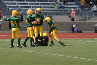 5725 VPYF 5-6 v Orting